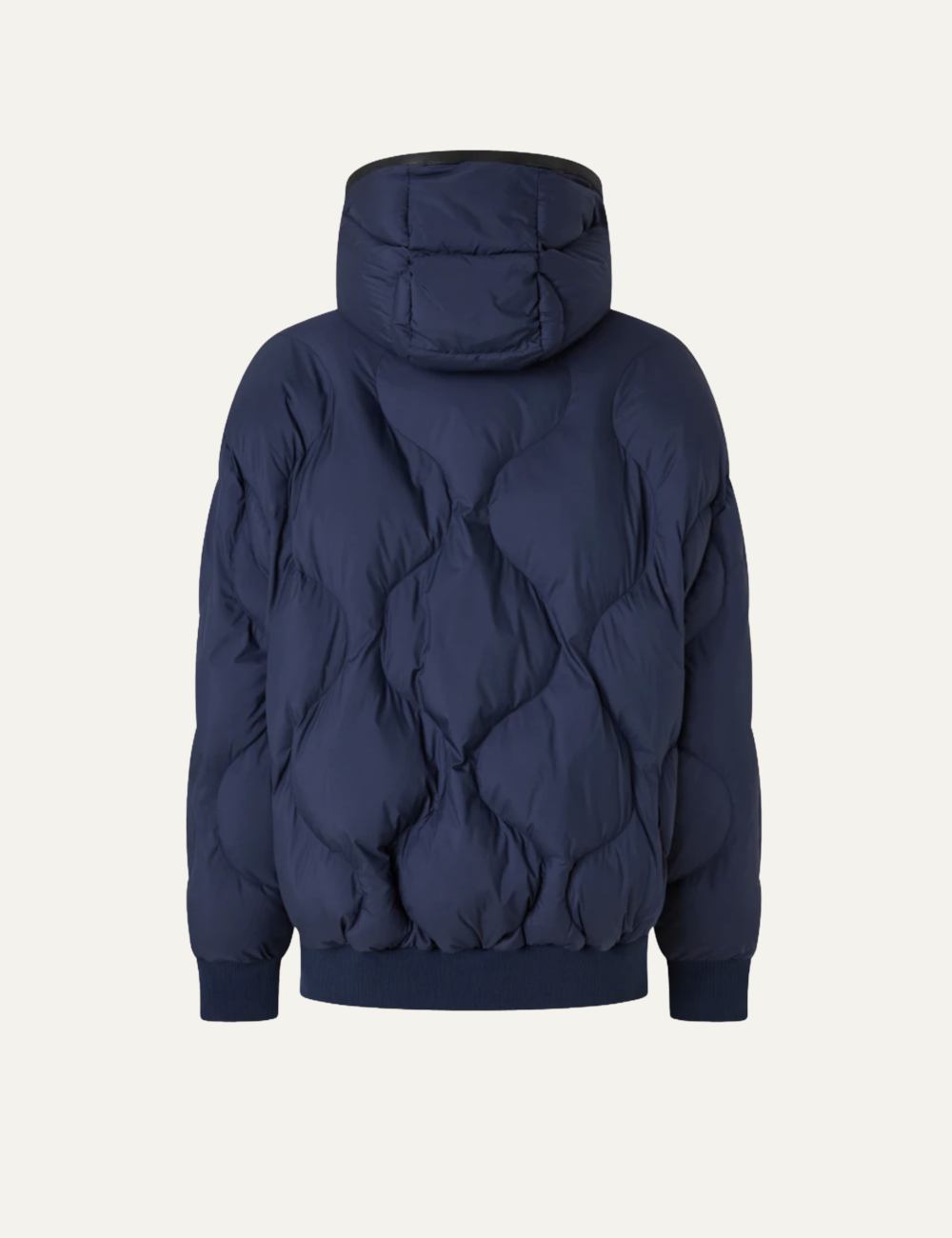 PINKO CAVIALE BOMBER