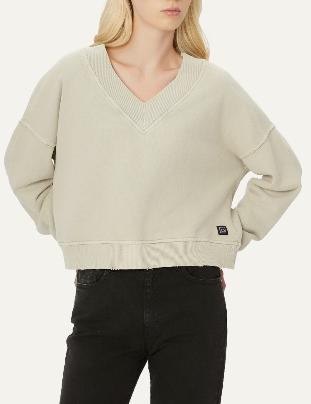 DIRTY LAUNDRY RELAXED V-NECK CREWNECK