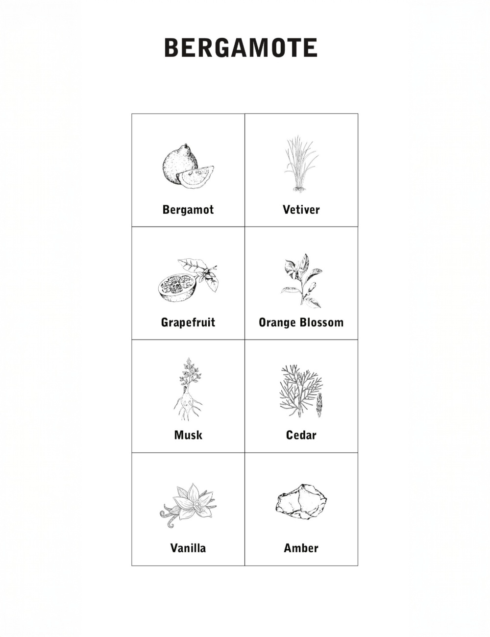 NNT LAB BERGAMOTE EAU DE PARFUM 100ML