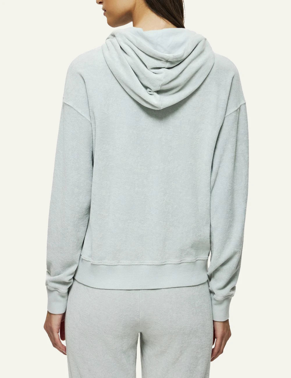 Dirty Laundry terry zip hoodie light grey relaxed fit back model view