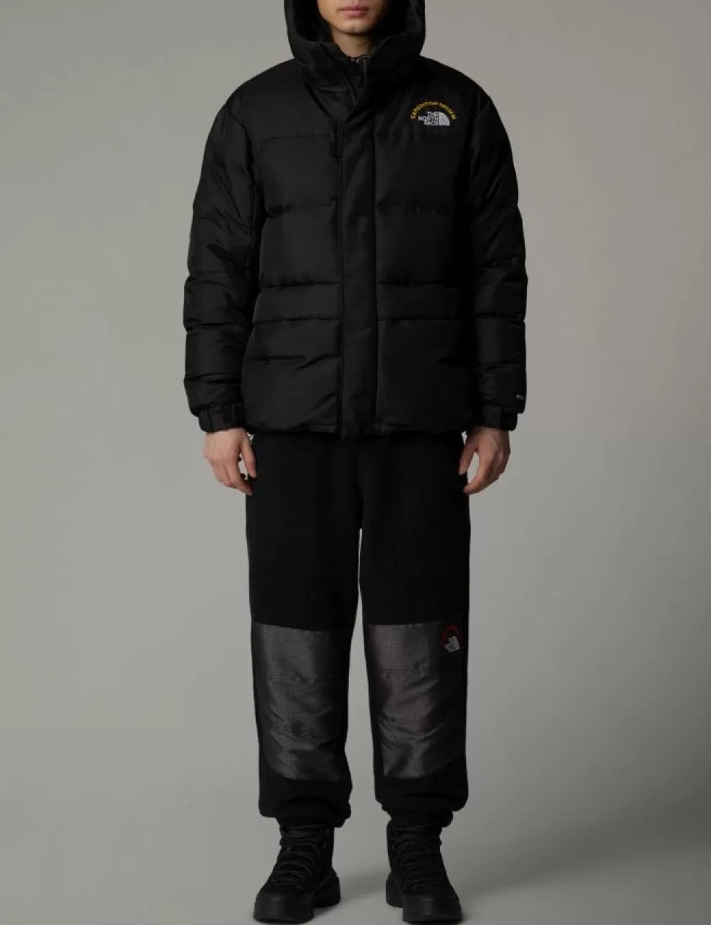 THE NORTHFACE M RETRO DENALI PANT