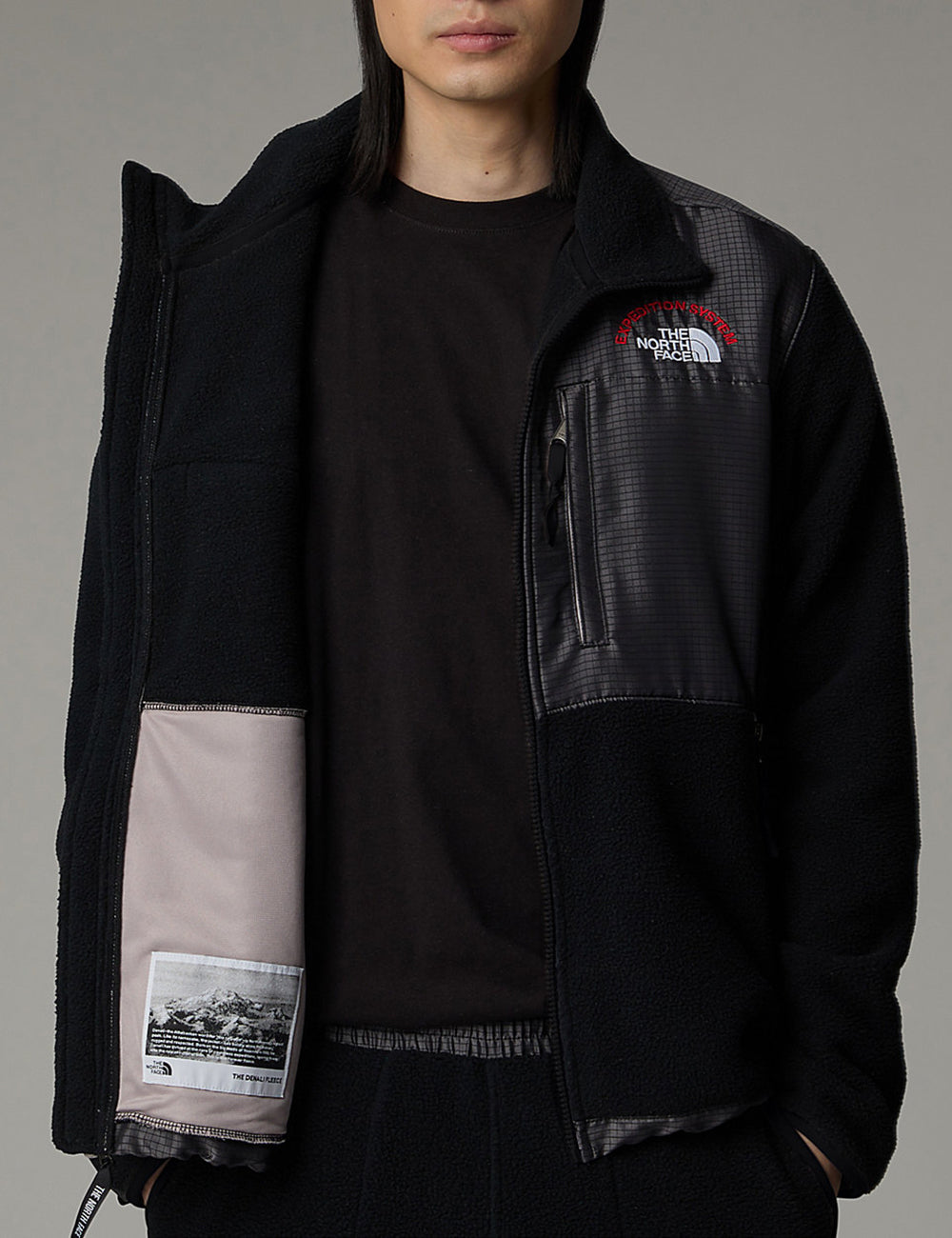 THE NORTHFACE M RETRO DENALI JACKET