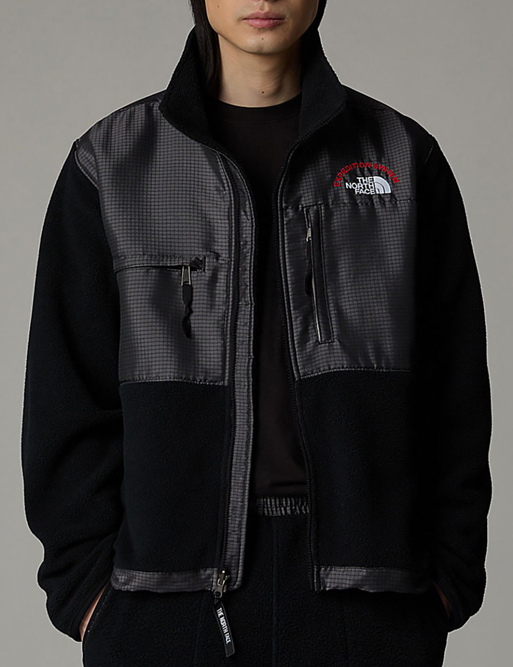 THE NORTHFACE M RETRO DENALI JACKET