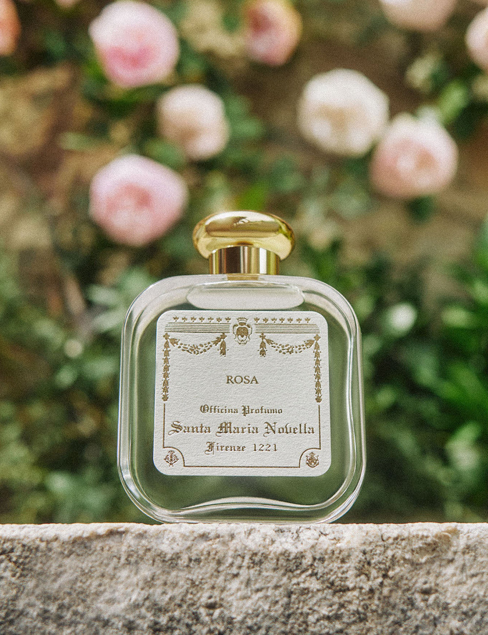 SANTA MARIA NOVELLA ROSA