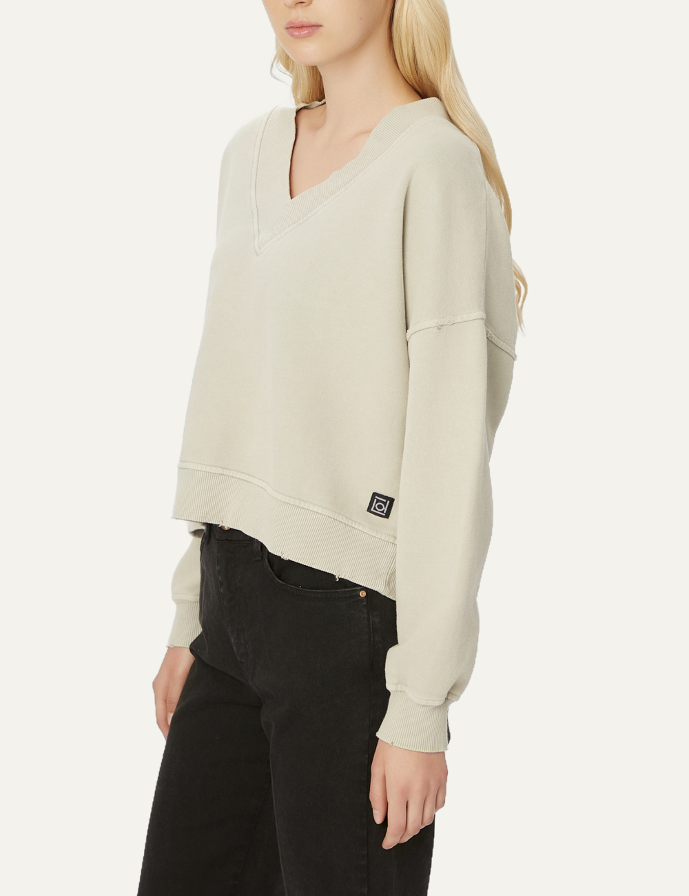 DIRTY LAUNDRY RELAXED V-NECK CREWNECK