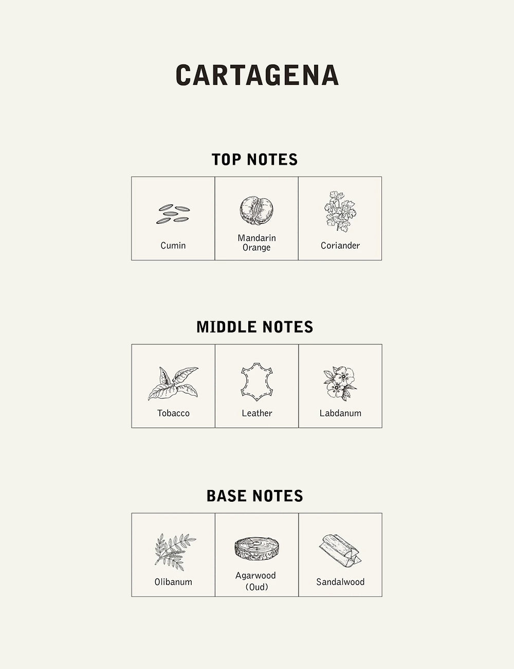 NNT LAB CARTAGENA EAU DE PARFUM 100ML