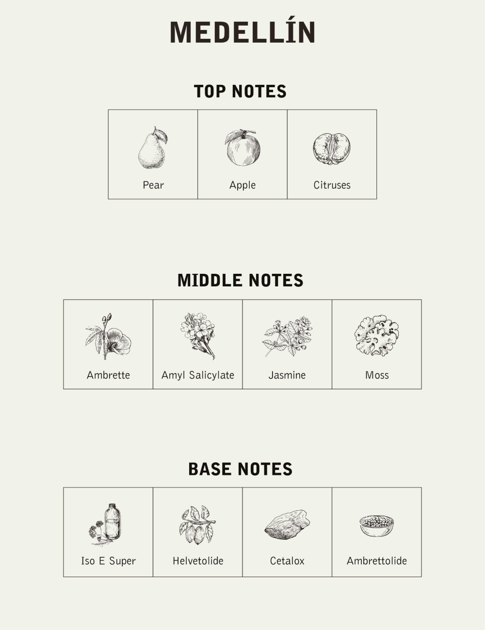 NNT LAB MEDELLIN EAU DE PARFUM 100ML