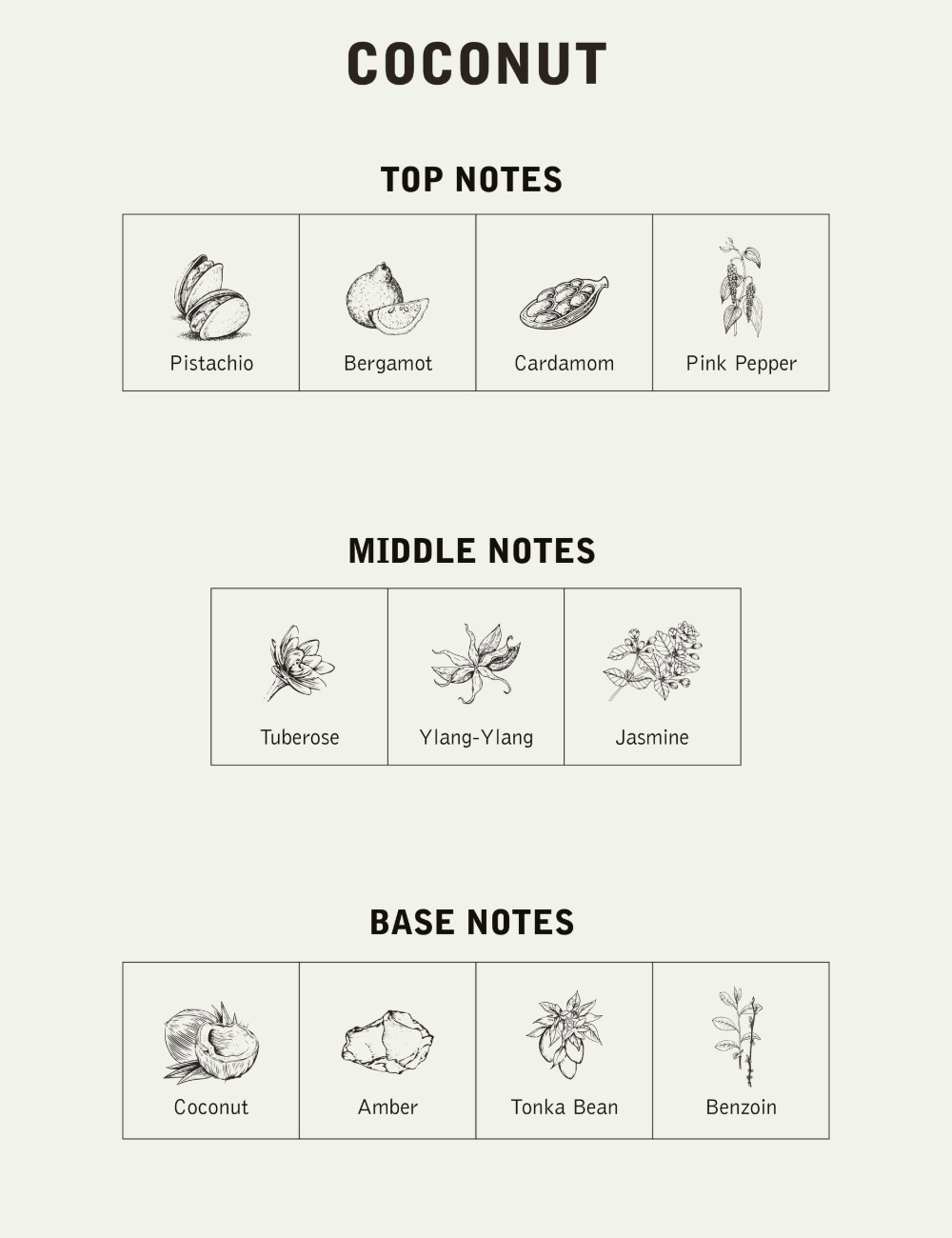 NNT LAB COCONUT EAU DE PARFUM 100ML