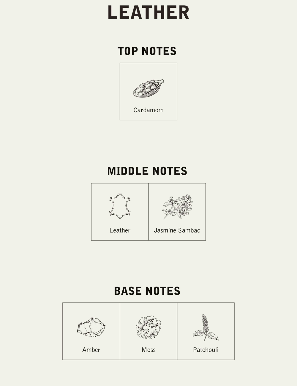 NNT LAB EAU DE PARFUM LEATHER 100ML