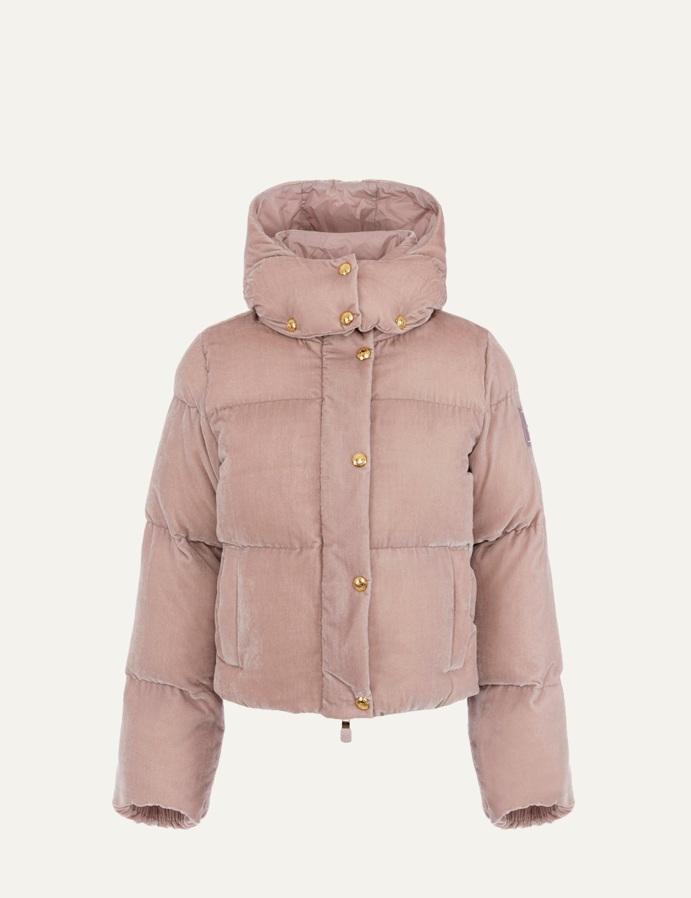 ELISABETTA FRANCHI Velvet down jacket with hood