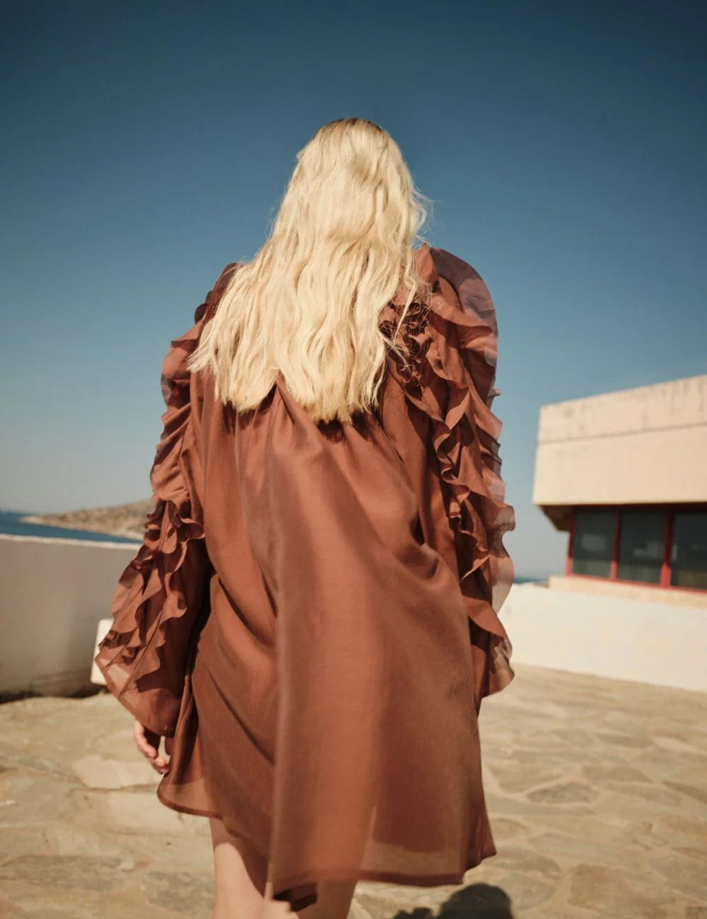 Devotion Cashmere Dress mini brown back full