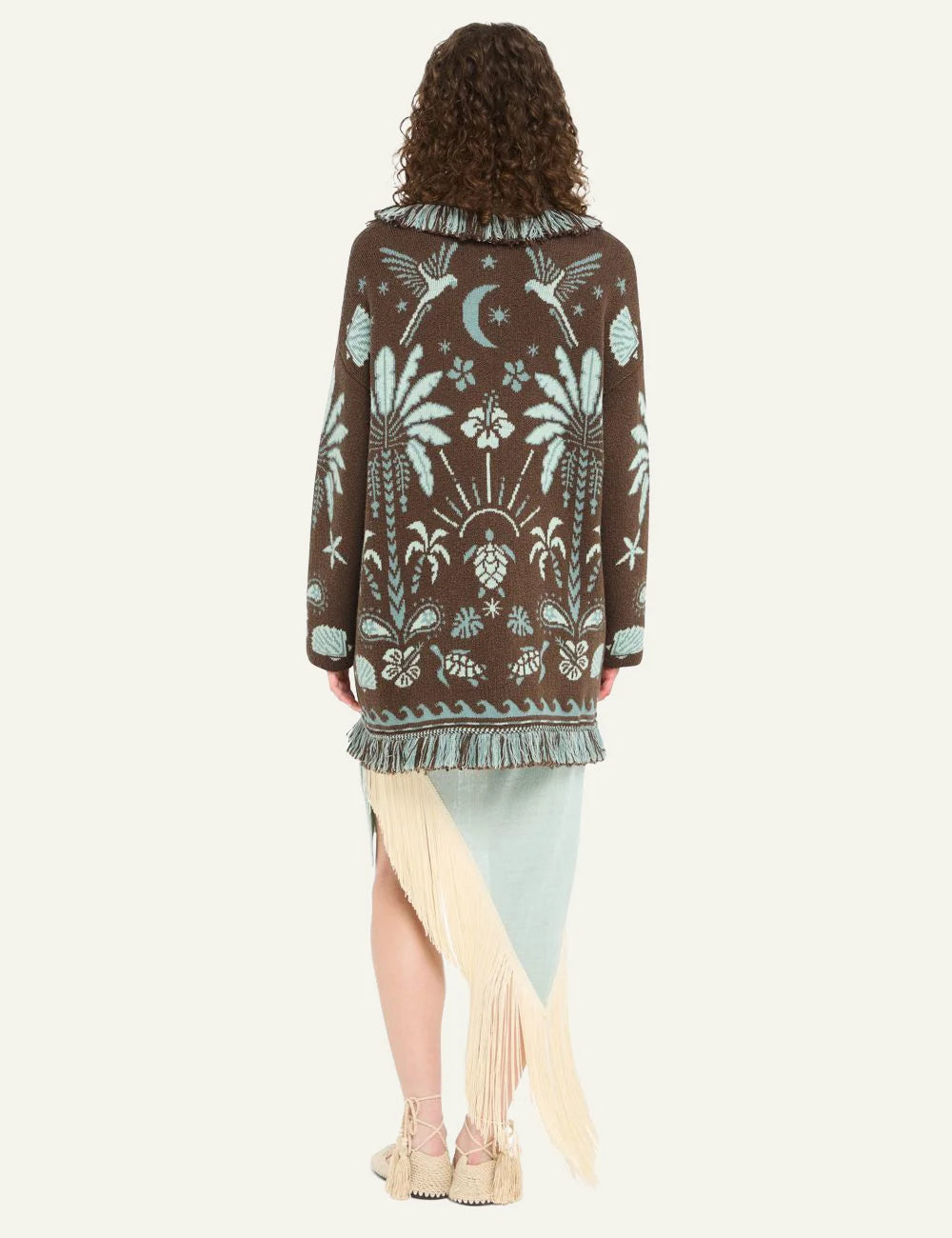 Γυναικεία Alanui cardigan πίσω όψη island jacquard