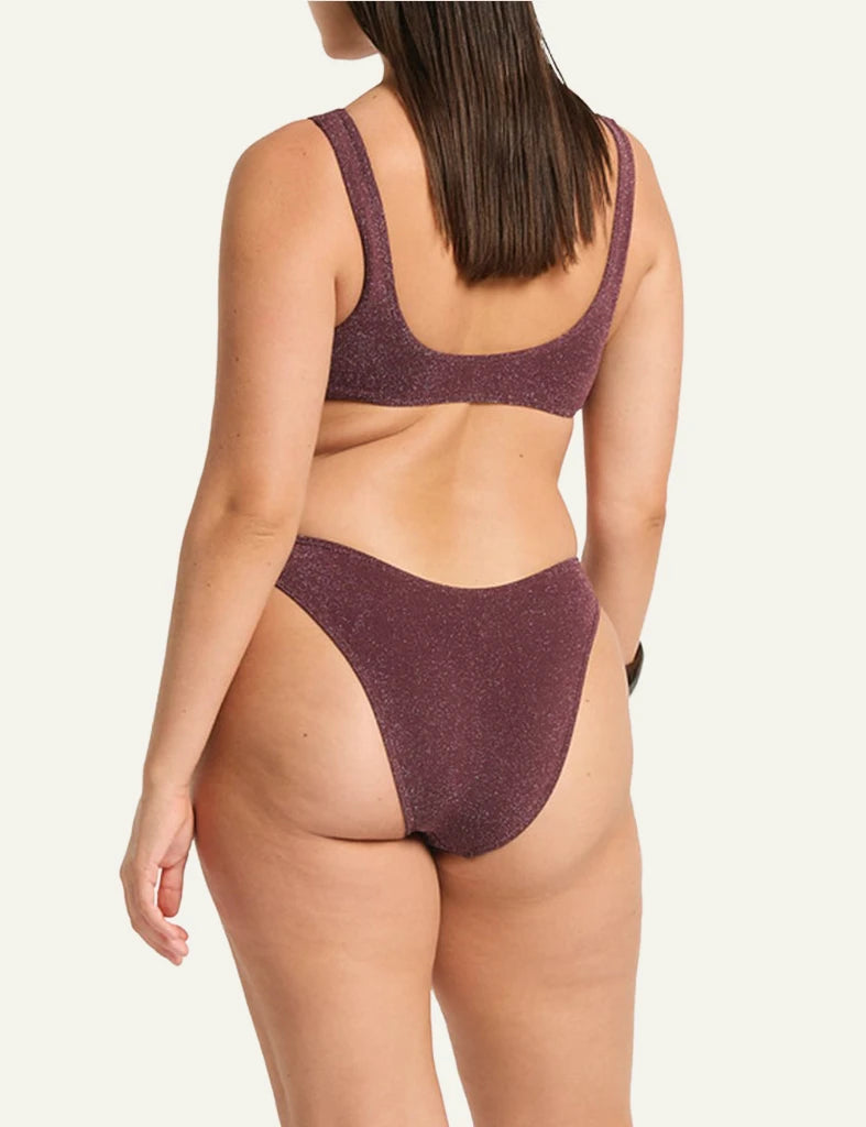 Bond Eye Christy Brief bikini bottom Amarena Lurex Micro back side view shimmer fabric back model view plus