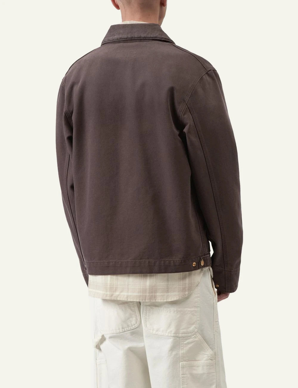 carhartt wip detroit jacket brown canvas back model view