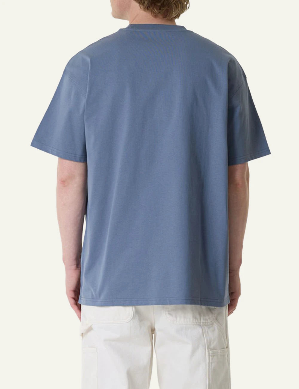 Carhartt WIP American Script t-shirt mple back view