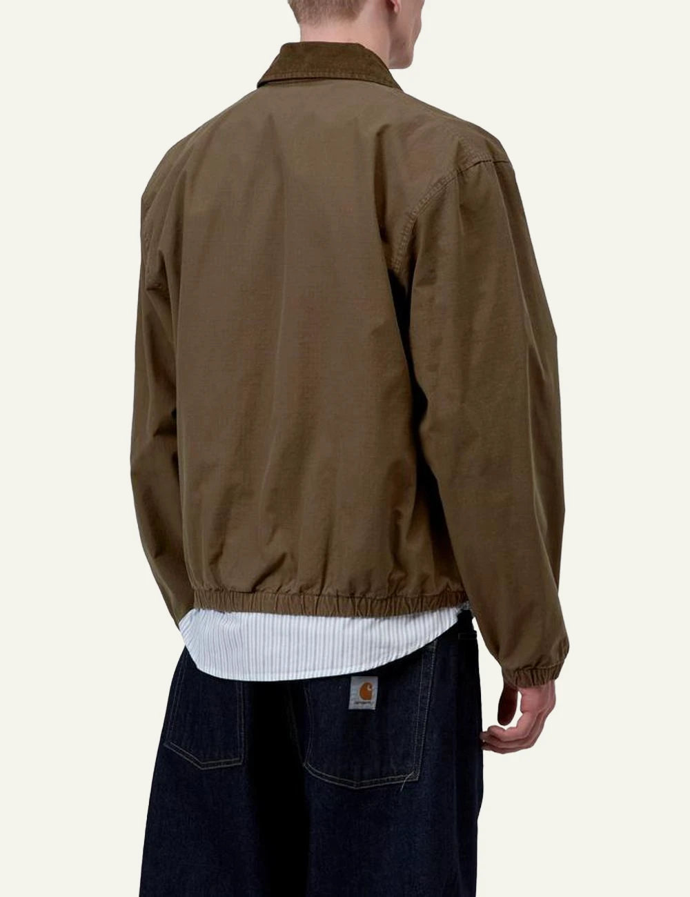 Carhartt WIP Madison Ripstop Jacket brown with corduroy collar back view