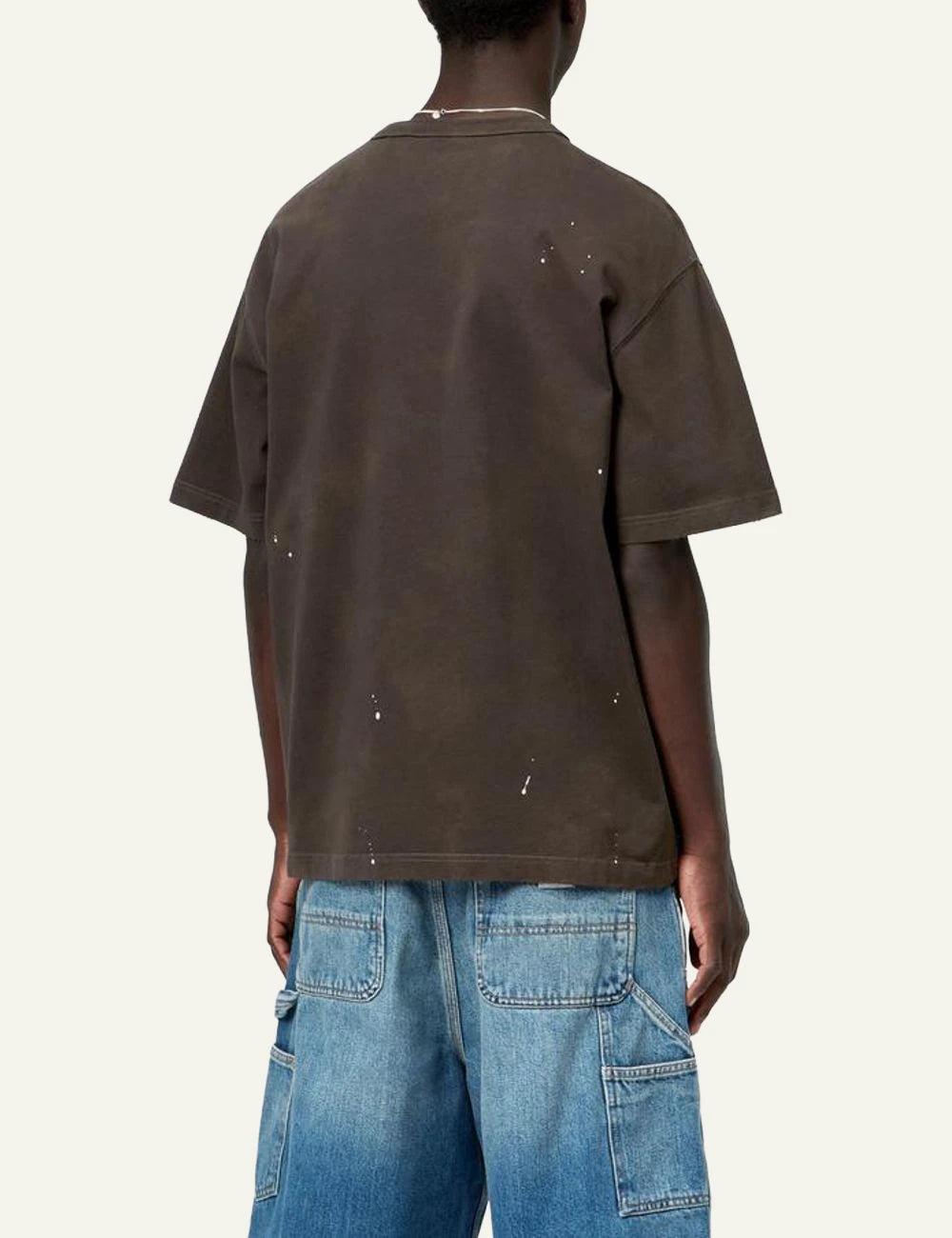 Carhartt WIP Painter T-shirt brown destroy wash with logo back view