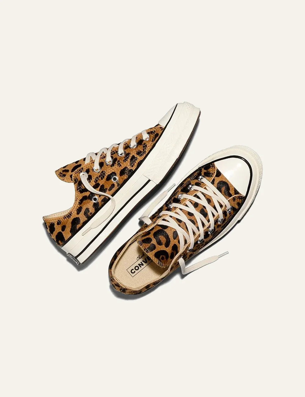 Women's Converse All Star Chuck 70 OX leopard print low top sneakers top