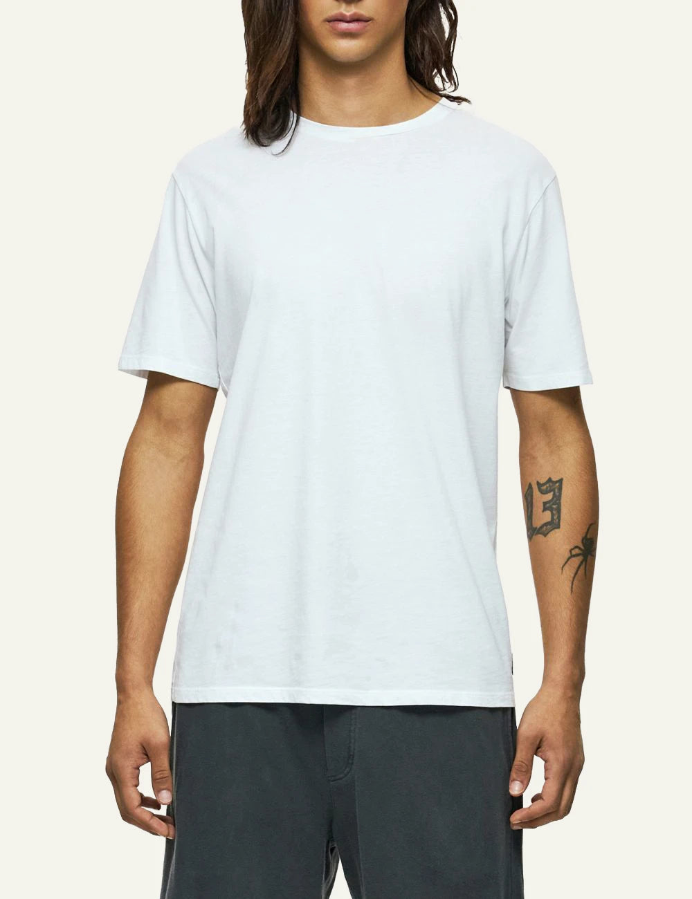 Dirty Laundry light grey t-shirt relaxed fit front model view