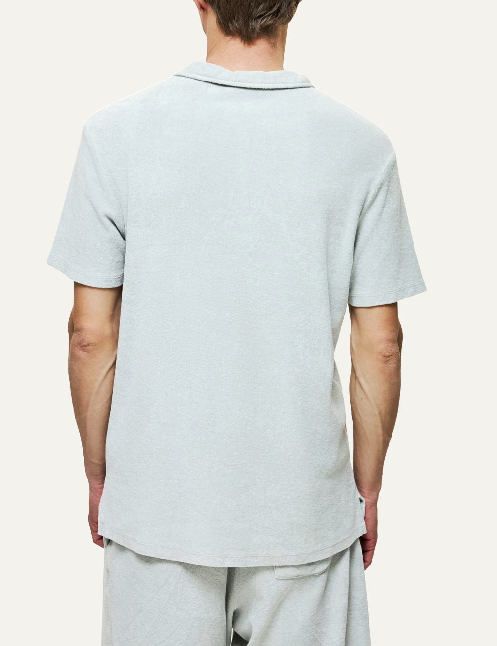 Dirty Laundry terry polo t-shirt light grey regular fit back view