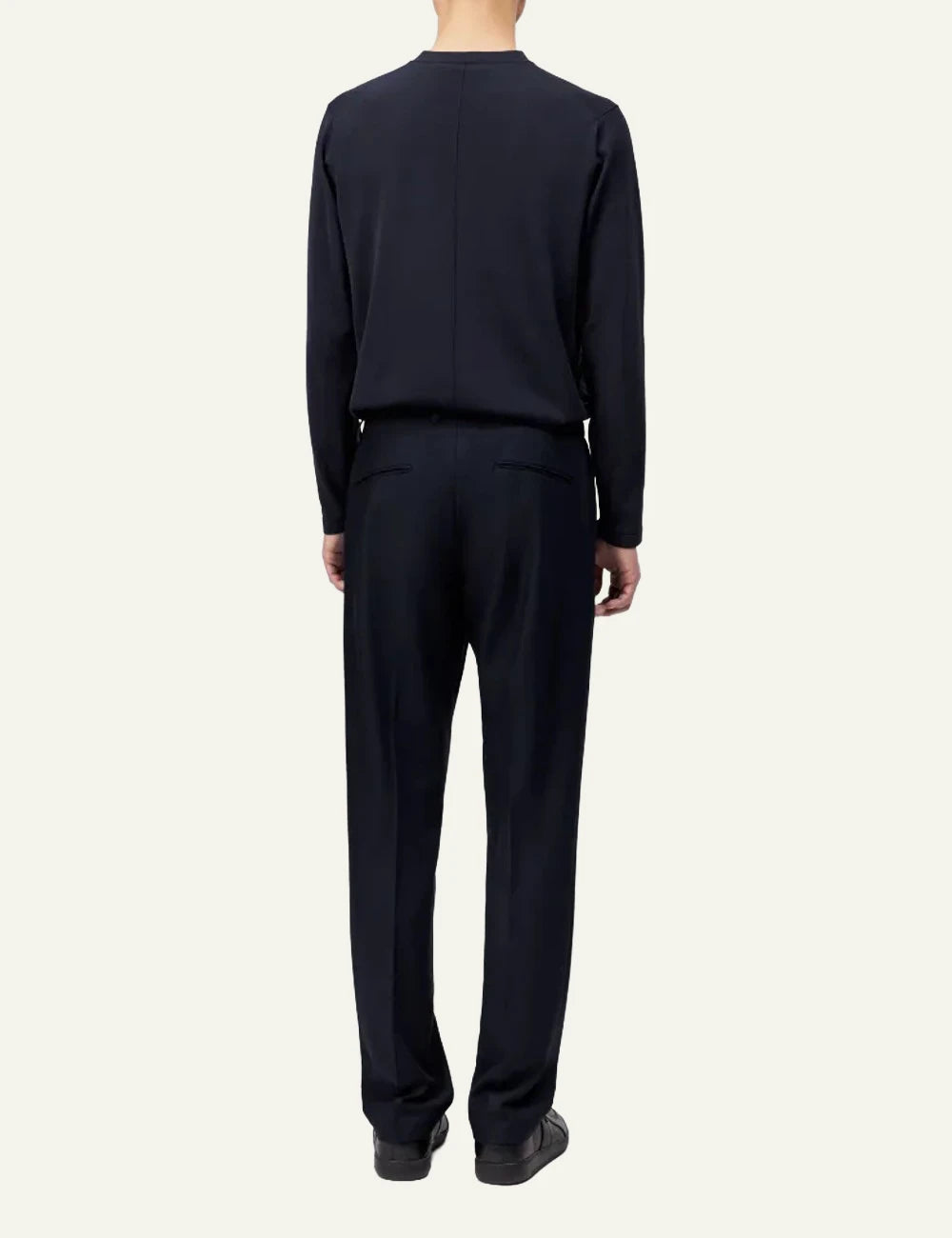 Drykorn Ajend RGLR SK pants navy tapered regular fit back view