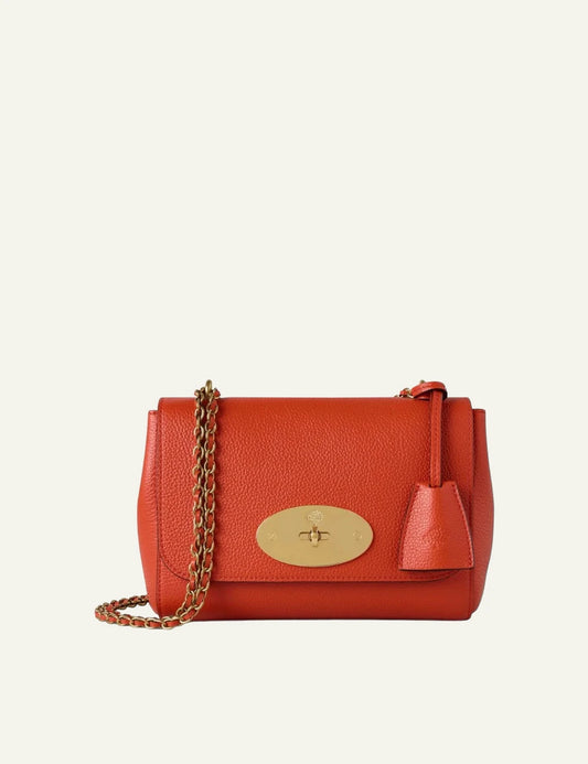 mulberry leather evening bag chain strap brass hardware front view