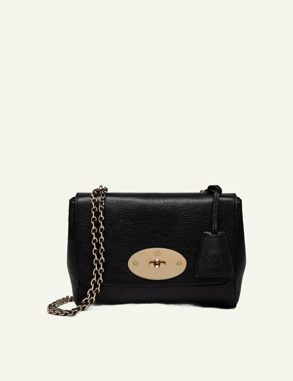 mulberry leather evening bag chain strap soft gold front view