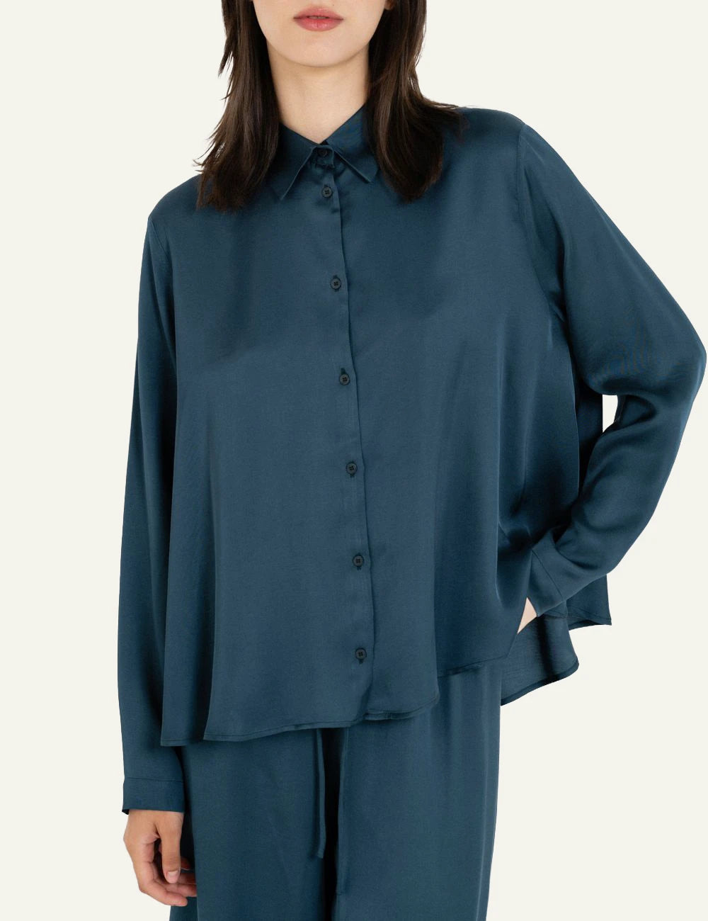 Philosophy blue shirt long sleeve button front clean view model