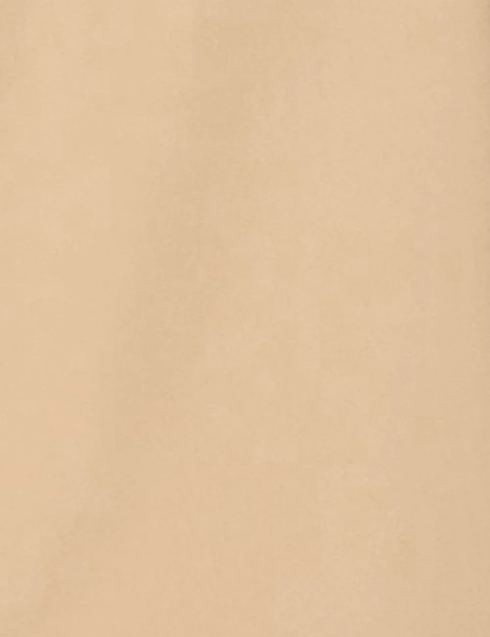 Save The Duck Lysandra shorts beige clean front view pleated mid waist detail view