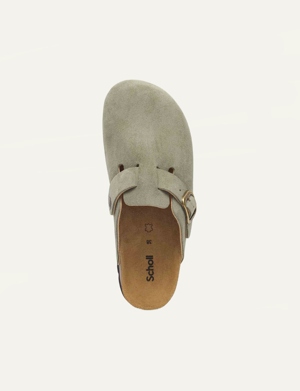 Scholl suede mule sage top view