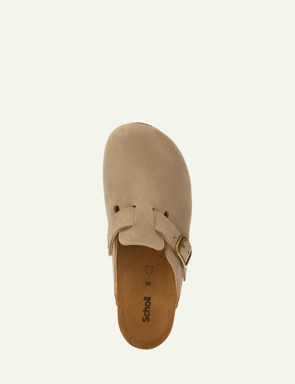 Scholl suede mule dark beige top view