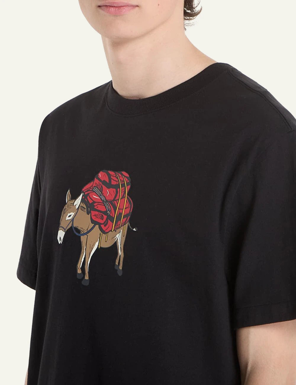 The North Face donkey taxi black t-shirt front detail