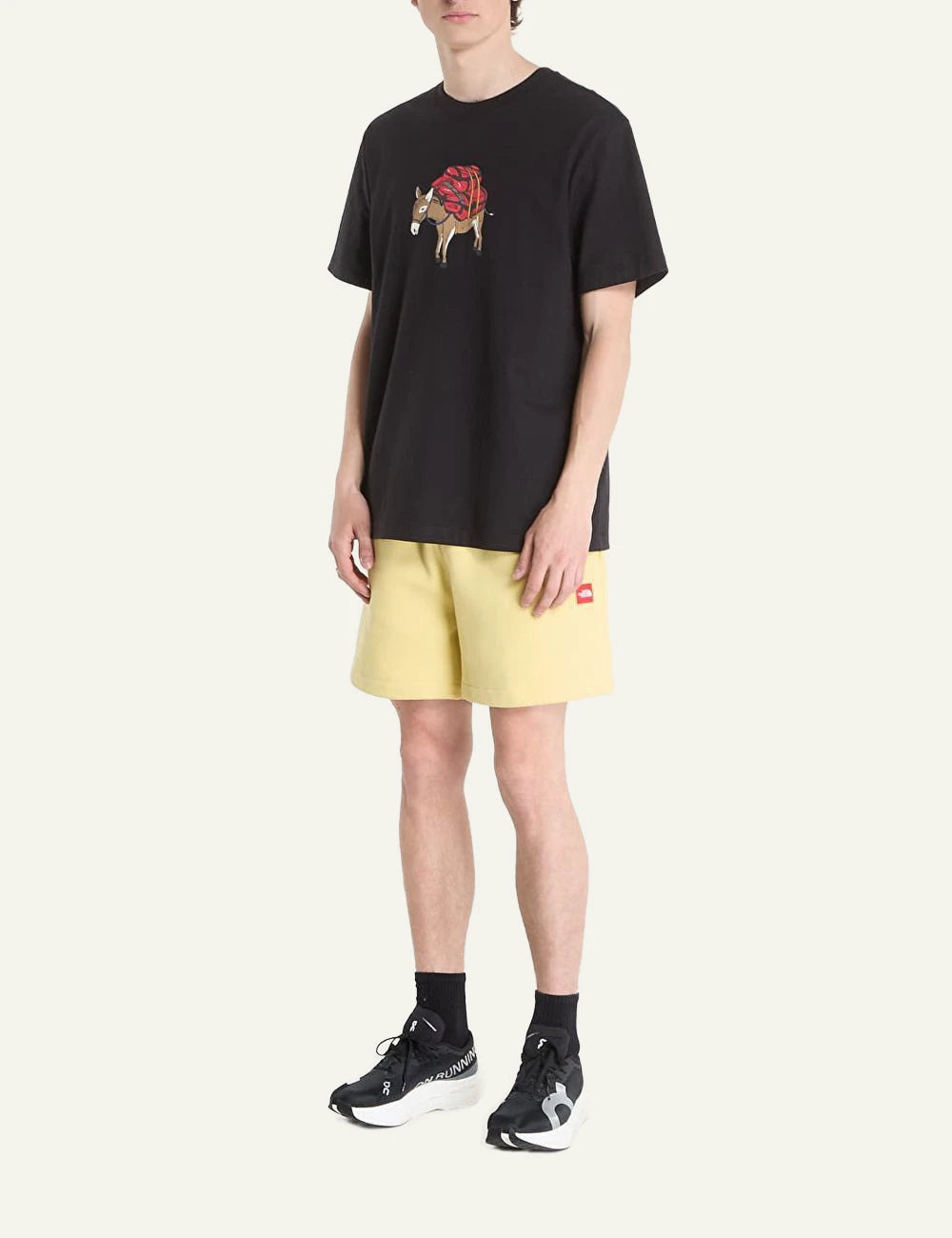 The North Face donkey taxi black t-shirt front model