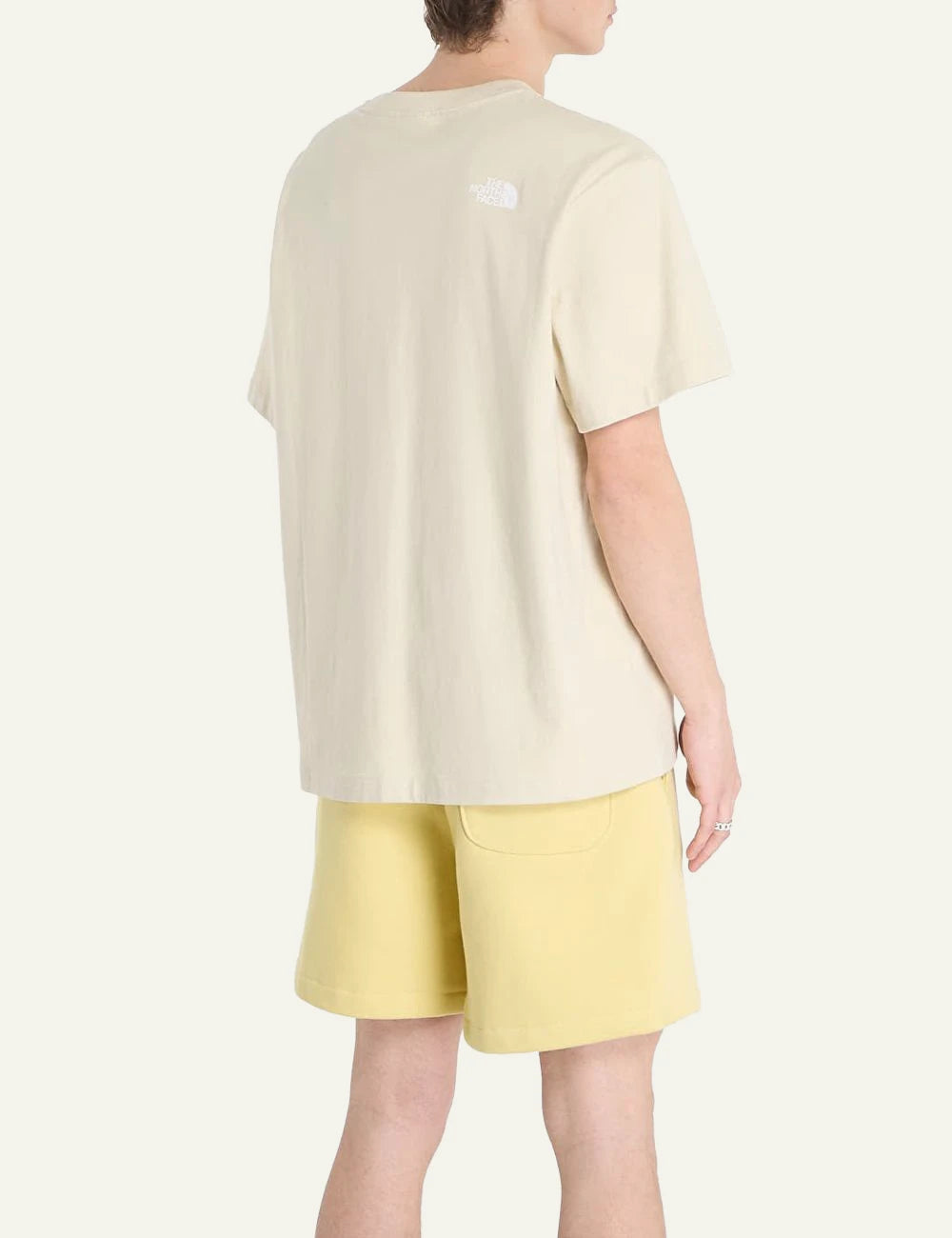 The North Face donkey taxi desert stone t-shirt back