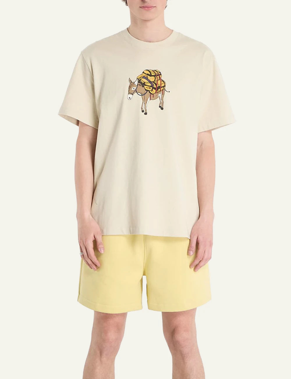 The North Face donkey taxi desert stone t-shirt front