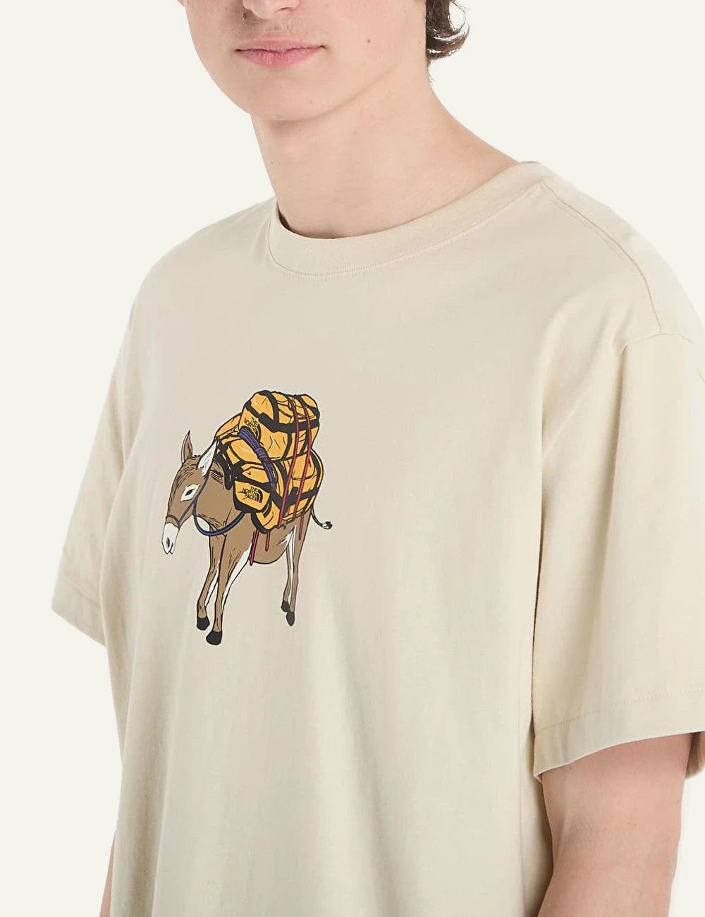 The North Face donkey taxi desert stone t-shirt front detail
