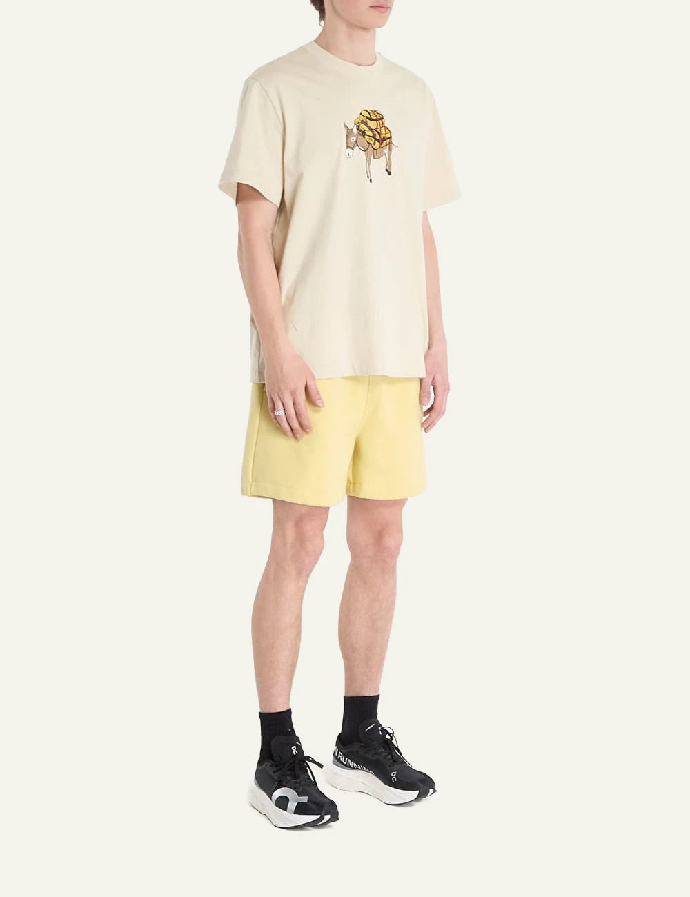 The North Face donkey taxi desert stone t-shirt front model