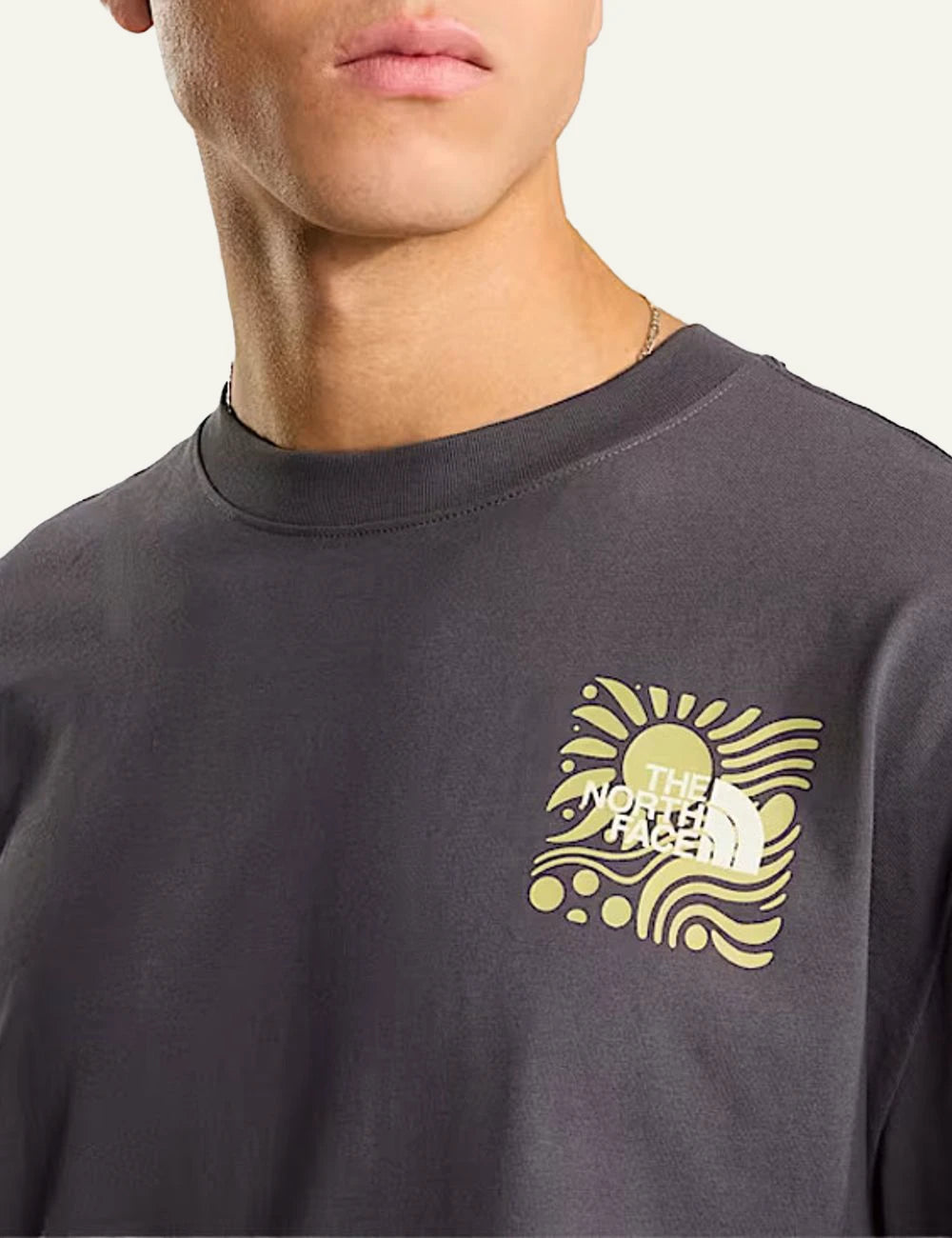 The North Face sun graphic grey tee front detail