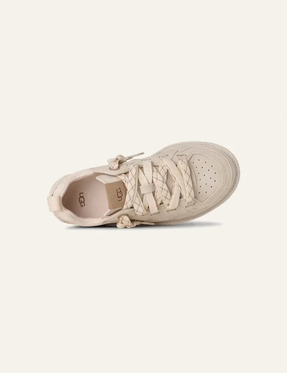UGG low top sneakers in beige suede and mesh with patterned laces top view